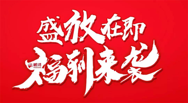 再拓疆域！鵬鴻We+定制&紅星美凱龍聯(lián)袂亮相烏魯木齊