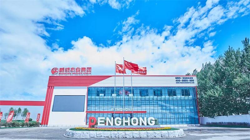 鵬鴻“定制家”升級(jí)“夢(mèng)想家”