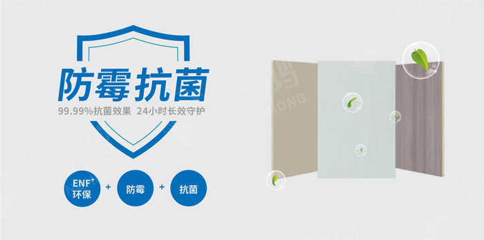 抗菌防霉木質(zhì)裝飾板行業(yè)標(biāo)準(zhǔn)研討工作會(huì)圓滿召開